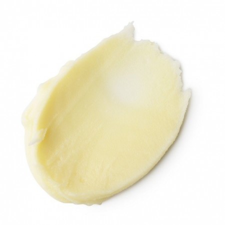 Magical Moringa (primer)
