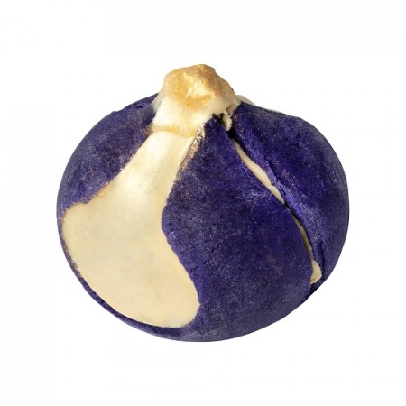 Figs In Honey (boblebit) - NY/kun i nettbutikk